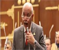 برلماني يدعو المصريين للنزول بكثافة إلى صناديق الاقتراع