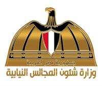 «الشؤون النيابية» تصدر إنفوجرافًا بـ«كل ما تريد معرفته عن اللجان الانتخابية»‎