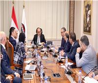 وزير قطاع الأعمال يبحث مستجدات مشروع الأمونيا الخضراء بـ«النصر للأسمدة»