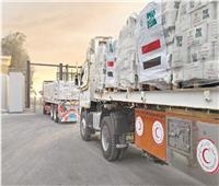 8200 طن مساعدات ضمن قافلة «زاد العزة 70»