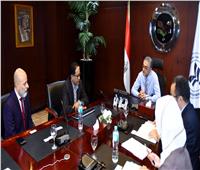 «حسام هيبة» يبحث إنشاء مصنع لإنتاج الأمونيا الخضراء بمصر مع شركة سنغافورية