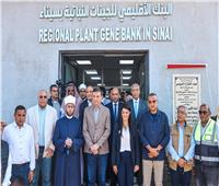 المشاط: توجيهات من القيادة السياسية بضرورة تحقيق التنمية المتكاملة بسيناء