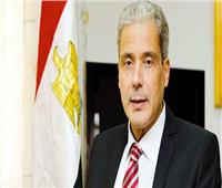 د. محمد عفيفى أستاذ التاريخ الحديث: جهود مصر دفعت العالم للاعتراف بالحق الفلسطينى