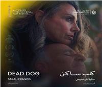 اليوم.. عرض الفيلم اللبناني "كلب ساكن" في عرضه الأول بالشرق الأوسط  