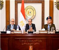 وزير الخارجية يستعرض رؤية مصر لتسوية النزاعات الإقليمية والدولية