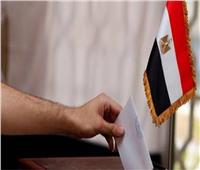 إقبال تاريخي للمصريين في الرياض وجدة خلال المرحلة الثانية من الانتخابات البرلمانية
