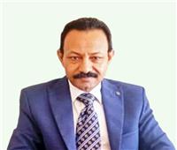 تكليف ضياء زهران بمهام رئيس الآثار الإسلامية والقبطية واليهودية بـ«الأعلى للآثار»