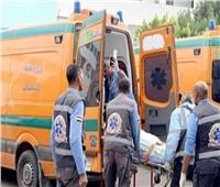 مصرع عاملين صعقاً بالكهرباء أثناء العمل داخل مزرعة بالبحيرة 