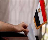 بعثة المنظمة العربية لحقوق الإنسان تتابع التصويت في الدوائر الملغاة 