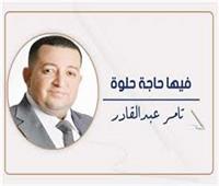            من مفيض توشكى لواحات الوادى.. معركتى القادمة