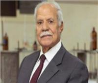 الحزب العربي الناصري: مصر أسقطت الرواية الإسرائيلية المختلقة حول معبر رفح 