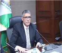 محافظ الجيزة: ضبط 2567 قضية تموينية بإجمالي 196 طن مضبوطات 