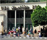 متحدث الوزراء: أعمال تطوير حديقتي الحيوان والأورمان تجري بشكل شامل