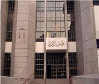 مجلس الدولة: لا تقبل دعاوى الاقتراع أو الفرز قبل التظلم إلى الوطنية للانتخابات