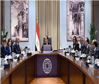 رئيس الوزراء يتابع جهود مواجهة التعديات وحماية مجرى نهر النيل 