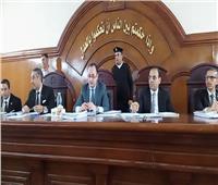 المؤبد لبائع متجول و15 سنة لصديقه قاما بهتك عرض طفلة «ابنة الأول» بالبحيرة 