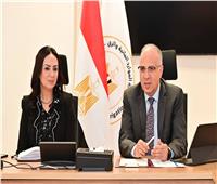 من ورد النيل للتمكين.. «الري والتضامن» يطلقان مبادرة تحول الدعم لفرص إنتاج