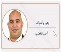 أحمد الخطيب يكتب: «القضاء المصرى».. بطل اللحظة وصمام الأمان