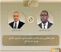وزير الخارجية يؤكد دعم مصر الكامل لجهود حكومة مالي في مكافحة الإرهاب والتطرف