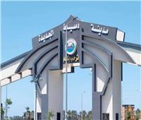 مسئولو الإسكان يتابعون سير العمل بالإدارة العقارية بجهاز مدينة دمياط الجديدة