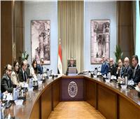 مدبولي يلتقي مسئولي شركة «إيني» ومجموعة مستشفيات «سان دوناتو» الإيطالية