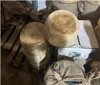 ضبط 20 طن أجبان غير صالحة بأحد الثلاجات بغرب الإسكندرية 
