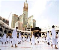 «الداخلية» تضبط 26 كيانًا سياحيًا غير مرخص بتهمة النصب على المواطنين