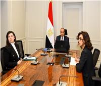 لقاء افتراضي لوزير الخارجية مع الجالية المصرية في كمبوديا وسنغافورا