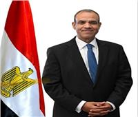 وزير الخارجية: استجابة سريعة لاحتياجات الجاليات المصرية