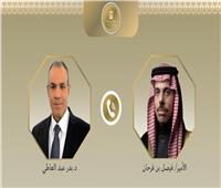 بدر عبدالعاطي ونظيره السعودي يبحثان تثبيت وقف إطلاق النار فى غزة 