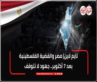 تايم لاين| مصر والقضية الفلسطينية.. جهود لا تتوقف عبر الزمن