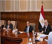 وزير الخارجية: مصر تتبنى نهجًا شاملًا في ملف حقوق الإنسان