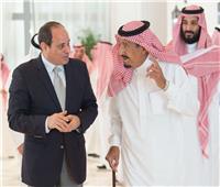وزير الخارجية مشيدا بالعلاقات المصرية السعودية: «علاقات وثيقة ومتجذرة في التاريخ»
