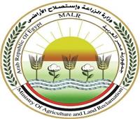 الزراعة: مصر اقتربت من تحقيق الاكتفاء الذاتي الكامل من اللحوم البيضاء