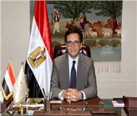 وزير الثقافة يُهنئ الرئيس السيسي بمناسبة العام الميلادي الجديد