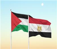 مدير المركز العربي للبحوث: الدعم المصري للقضية الفلسطينية التزام تاريخي