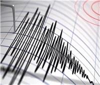زلزال بقوة 5.6 درجة يهز جنوب ووسط دولة بأمريكا الجنوبية