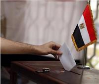 انتخابات النواب.. انتظام عملية التصويت في الدوائر الملغاة بالوادي الجديد