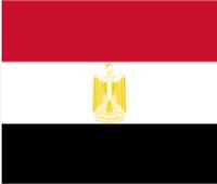 مصر تجري اتصالات مكثفة مع كافة الاطراف وتدعو للتهدئة ودعم السلام في اليمن