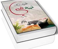 سيرة الغياب الهادئ