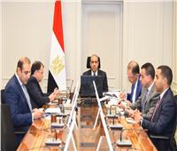 وزير الخارجية يؤكد دعم مصر الكامل لوحدة وسيادة الصومال أمام مجلس السلم والأمن الأفريقي