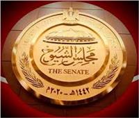 النائبة ميرال الهريدي تثمن استجابة وزير الصناعة لمطالب مستثمري الصناعات الهندسية