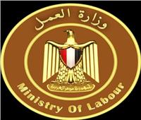 العمل: وظائف بالضبعة النووية برواتب تصل إلى 35000 جنيه