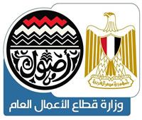 إنفوجراف.. شركات وزارة قطاع الأعمال العام تشهد تطورات كبيرة 