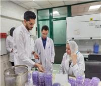 "الزراعة" تفحص 144 ألف طن بطاطس مائدة وتقاوي مستوردة خلال 3 أشهر