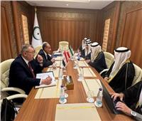 دعم مصرى كامل لوحدة وسيادة الصومال |عبد العاطى: رفض الإجراءات الأحادية أو فرض كيانات موازية