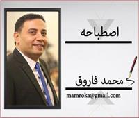 محمد فاروق يكتب: الكلاب الضالة.. خوف يومي وسؤال بلا رد.. نمشي إمتى ونعدّي منين؟