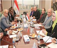 وزير الكهرباء يبحث مع نظيره السوداني التعاون في مجالات الطاقة المتجددة  