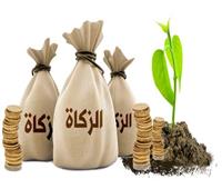  تجوز بشرط.. حكم تقسيط الزكاة طوال العام