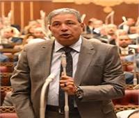 رئيس برلمانية المصري الديمقراطي بالشيوخ: المستشفيات الجامعية ليست بوتيكات للإيجار والترخيص